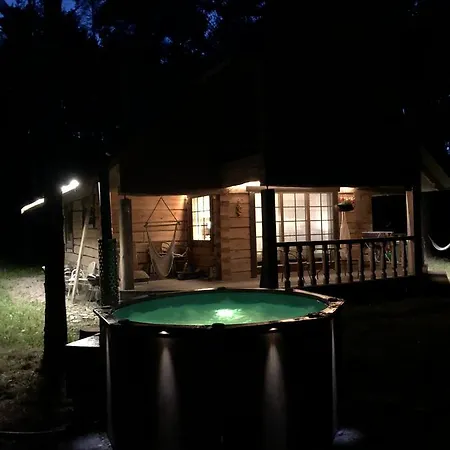 Forest House