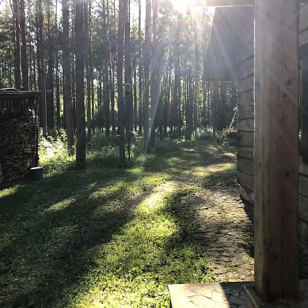 Forest House